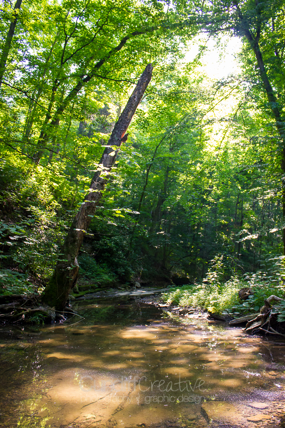 Heather Cundiff Creative