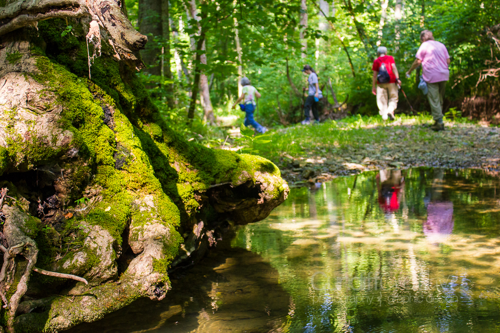 Heather Cundiff Creative