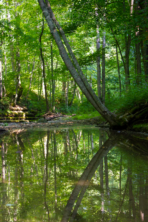 Heather Cundiff Creative