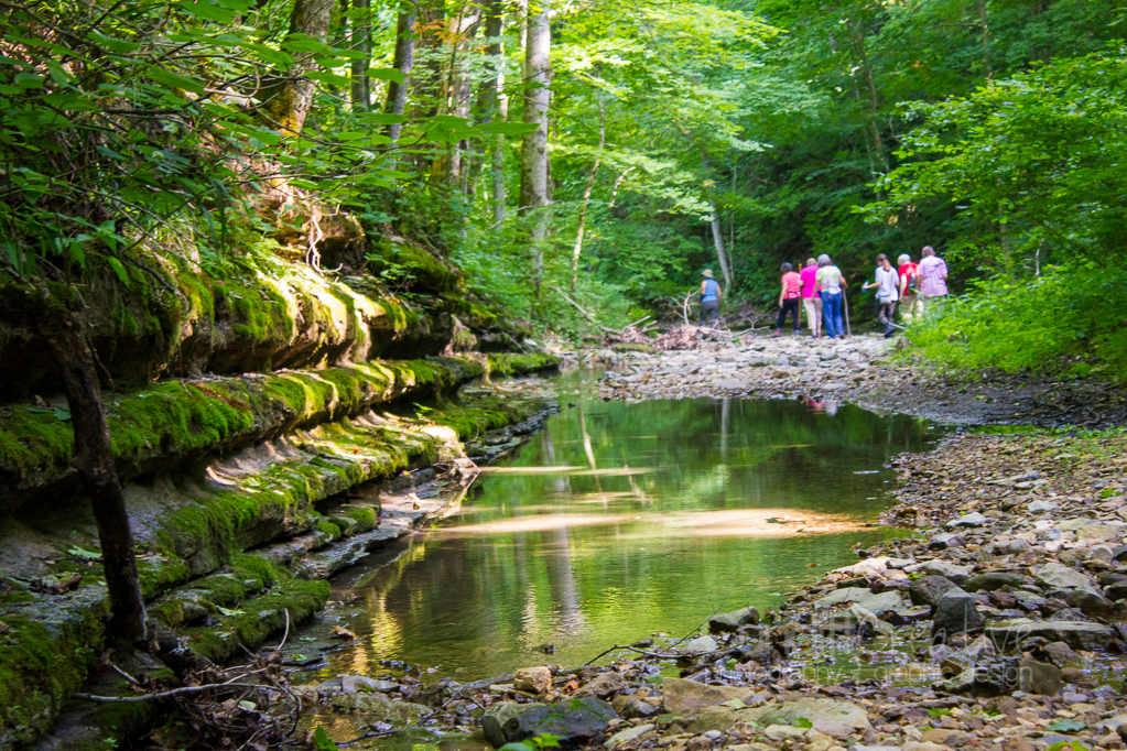 Heather Cundiff Creative