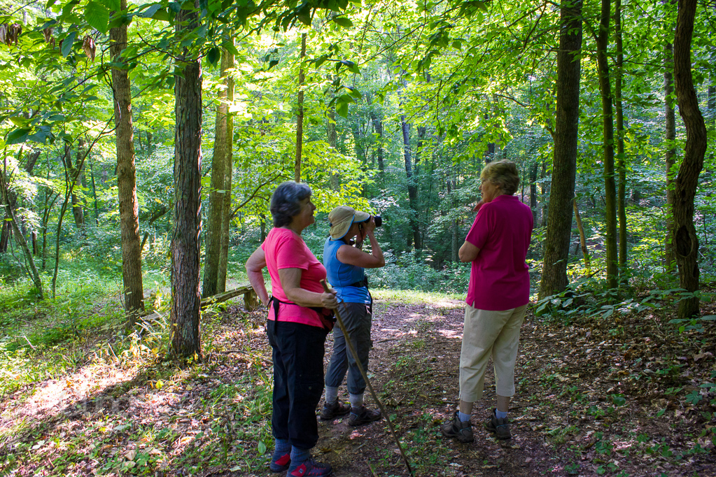 Heather Cundiff Creative