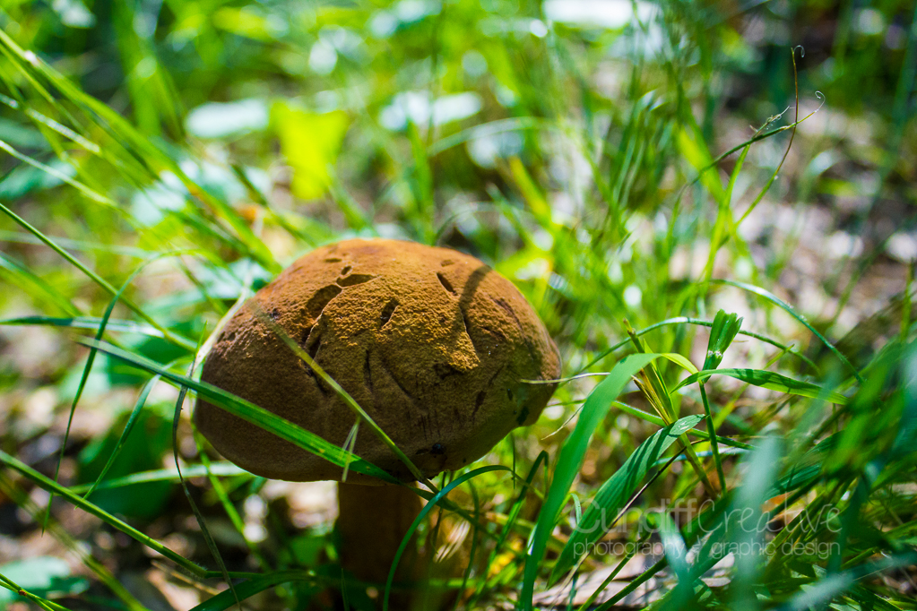 Heather Cundiff Creative