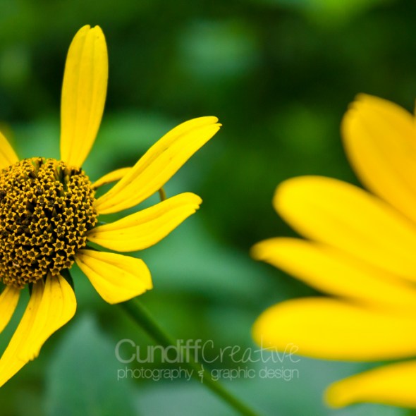 Heather Cundiff Creative