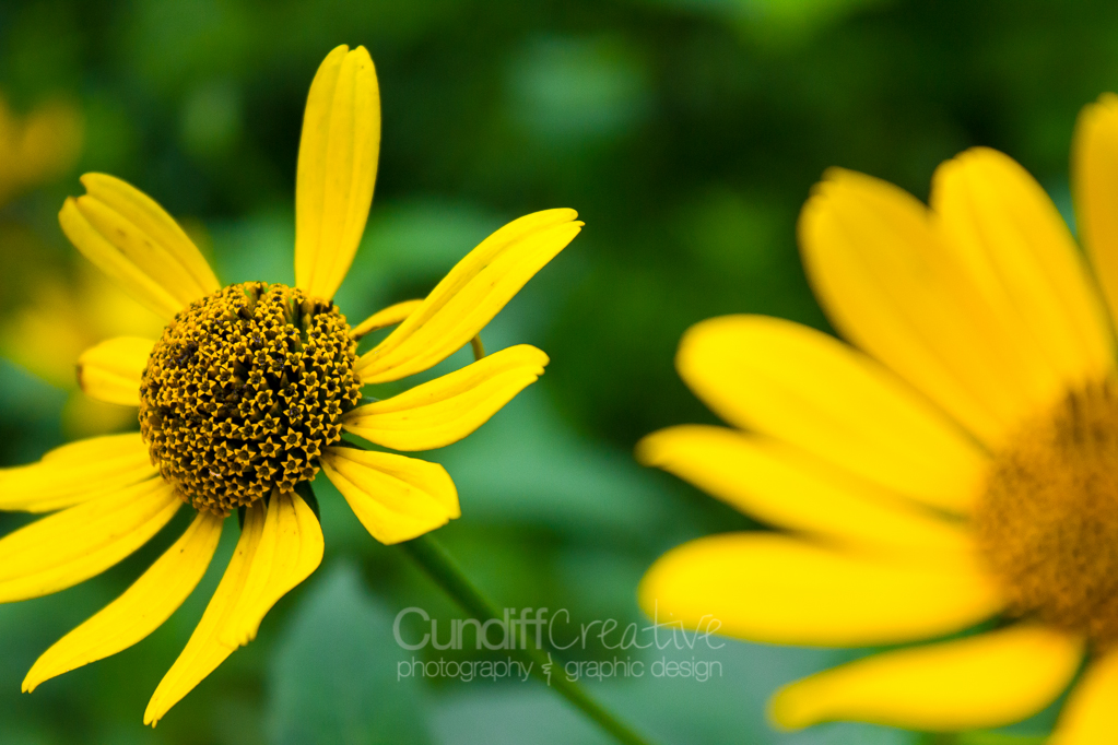 Heather Cundiff Creative