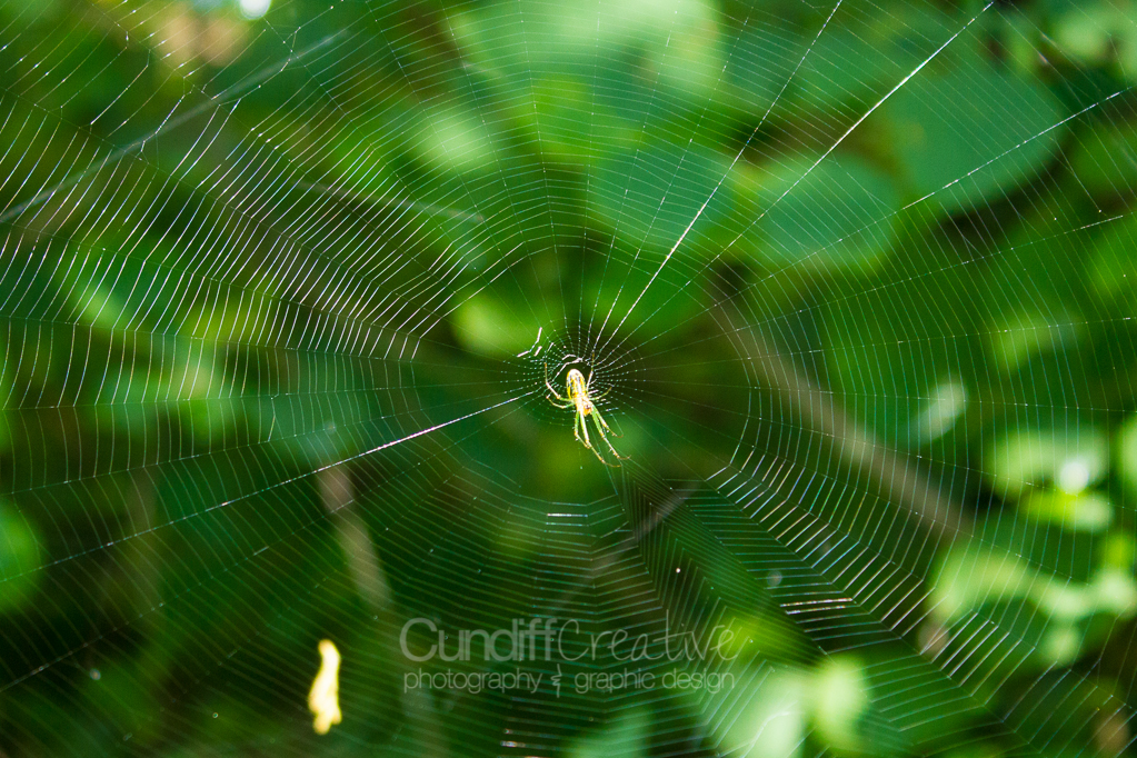 Heather Cundiff Creative