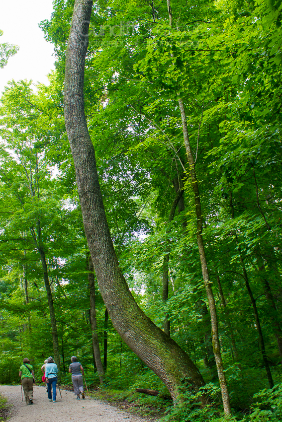 Heather Cundiff Creative