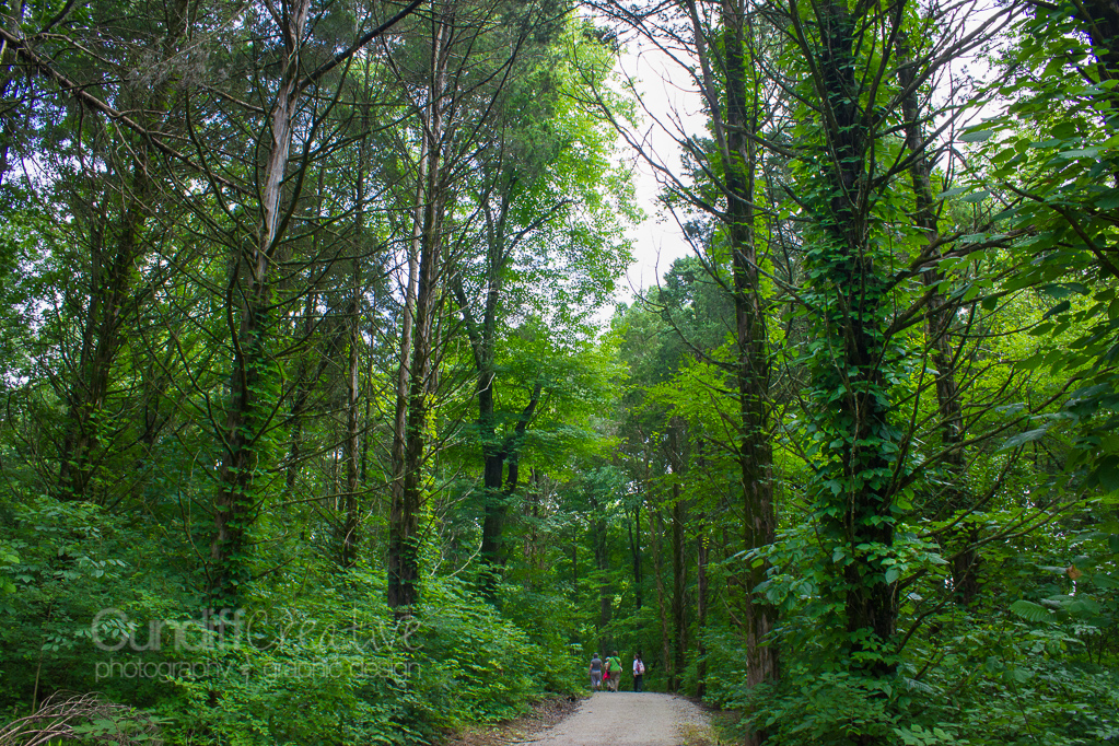 Heather Cundiff Creative