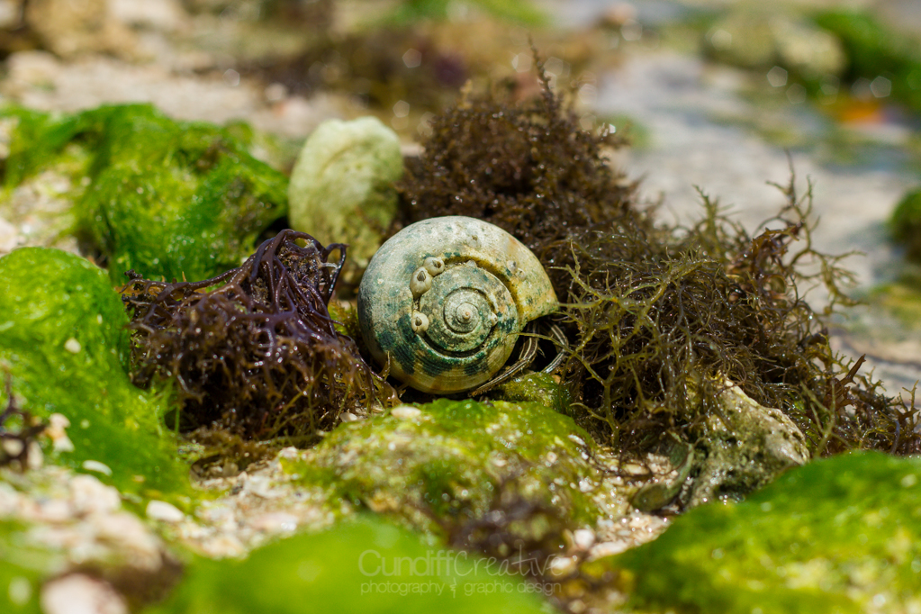 Heather Cundiff Creative