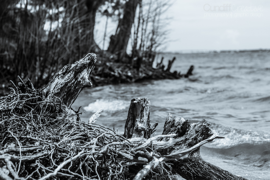 Heather Cundiff Creative