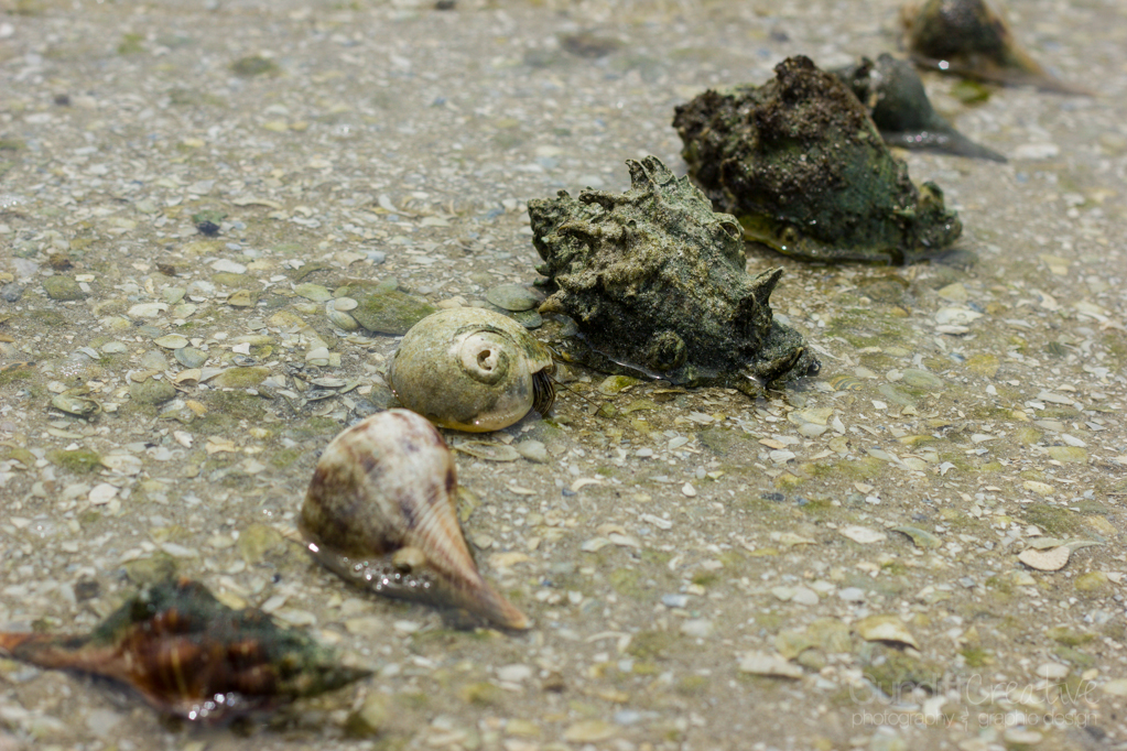 Heather Cundiff Creative