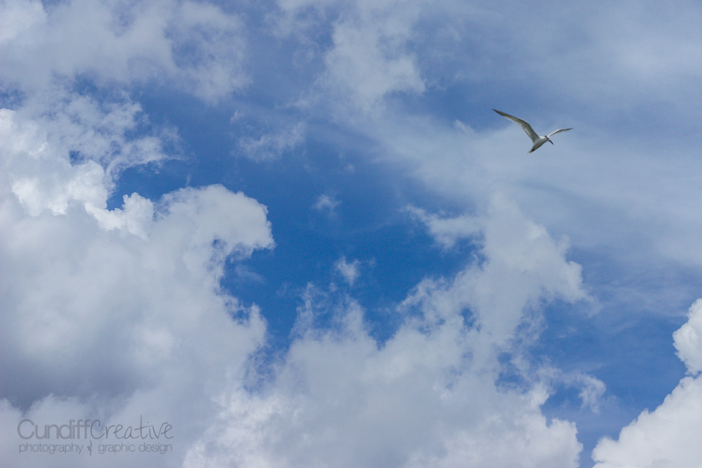 Heather Cundiff Creative