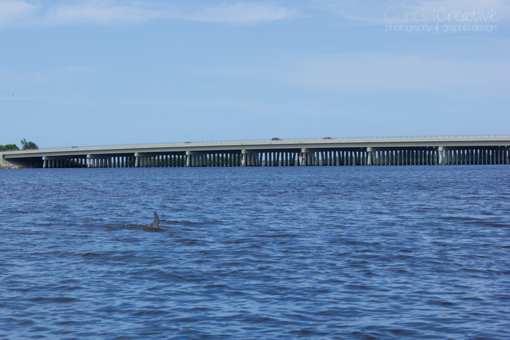 Heather Cundiff Creative