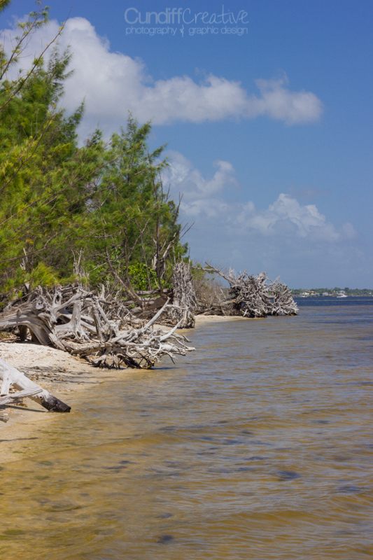 Heather Cundiff Creative