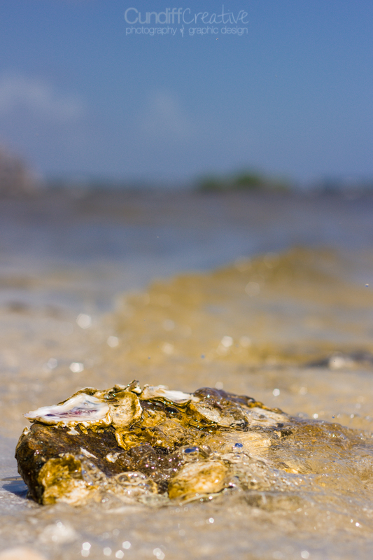 Heather Cundiff Creative