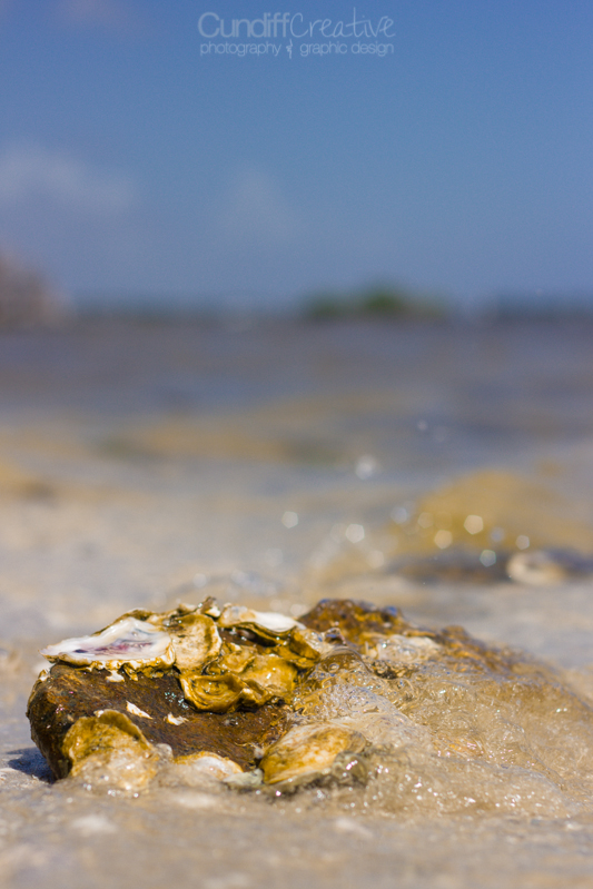 Heather Cundiff Creative