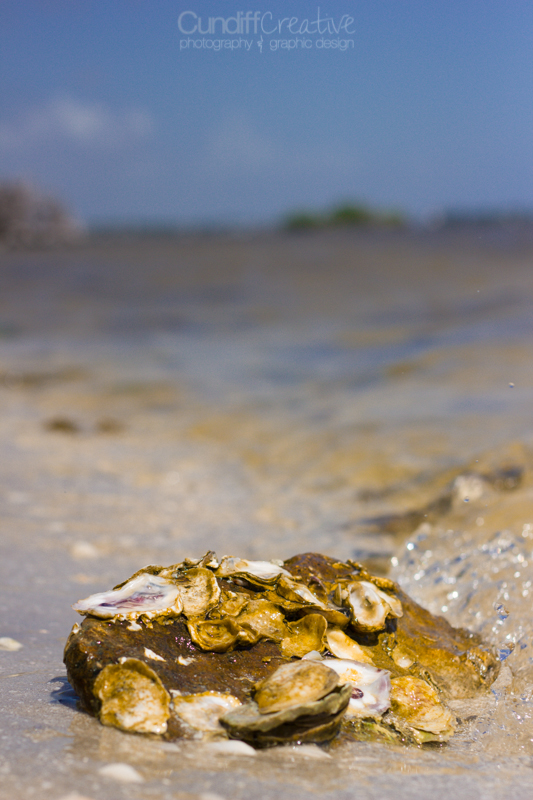 Heather Cundiff Creative