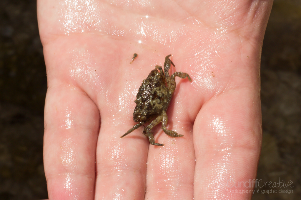 Heather Cundiff Creative