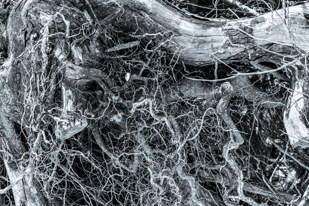 Heather Cundiff Creative