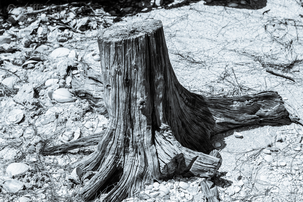 Heather Cundiff Creative