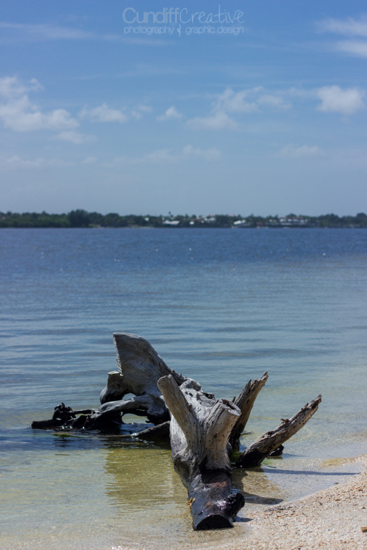 Heather Cundiff Creative