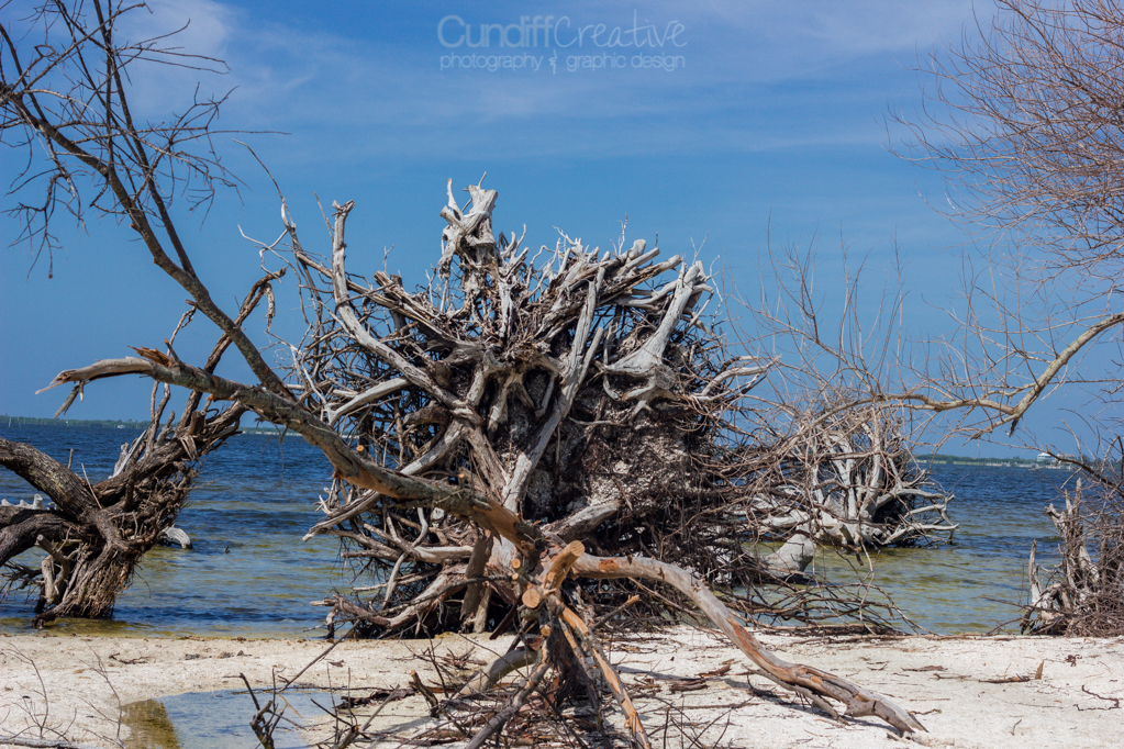 Heather Cundiff Creative