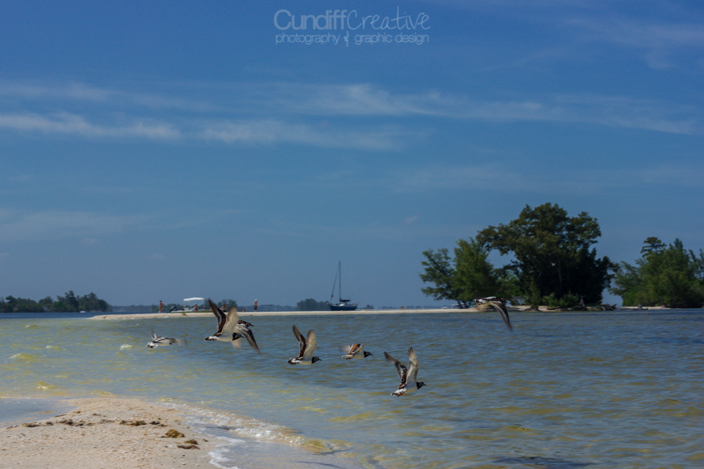 Heather Cundiff Creative