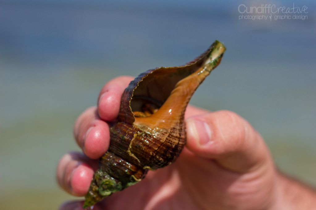 Heather Cundiff Creative