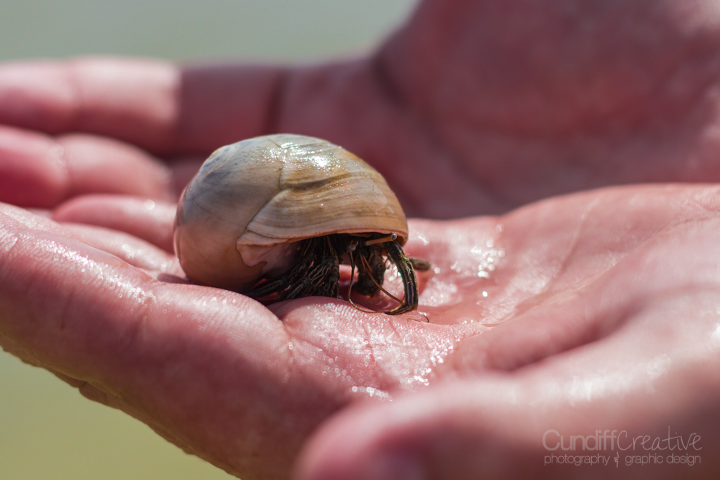 Heather Cundiff Creative