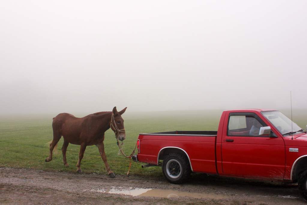 Heather Cundiff Creative