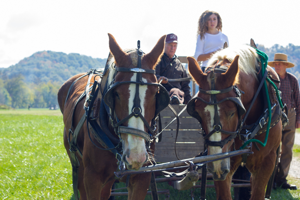 Heather Cundiff Creative