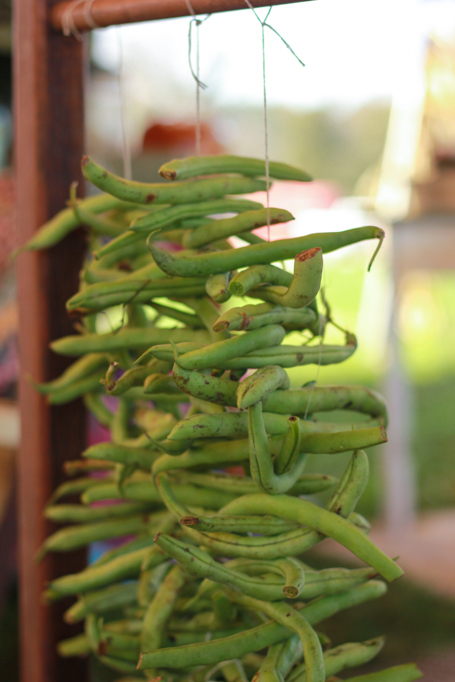 Heather Cundiff Creative