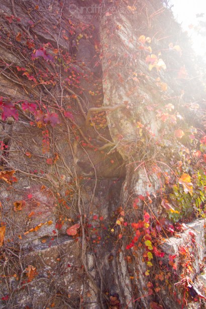 Heather Cundiff Creative