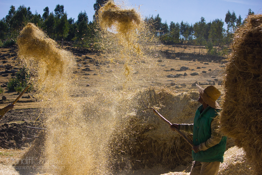 The Great Rift Valley