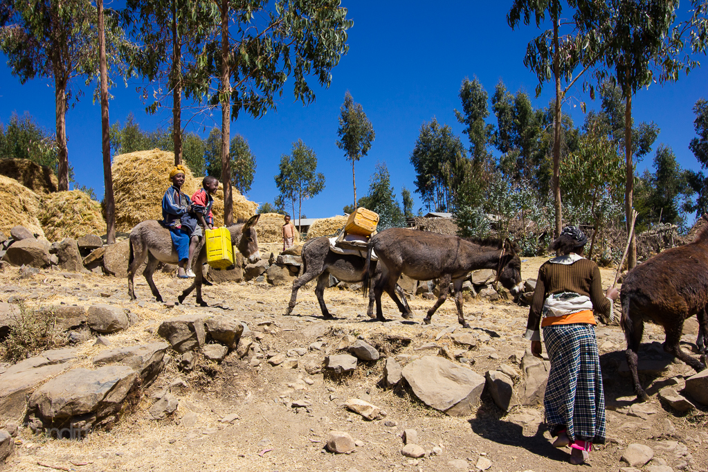 The Great Rift Valley