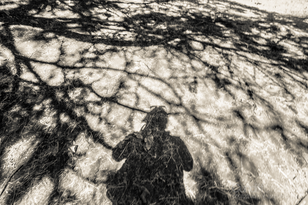 The Great Rift Valley