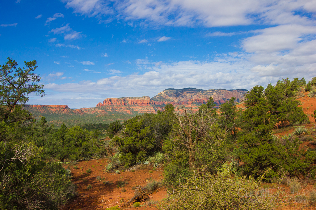 Sedona-4882