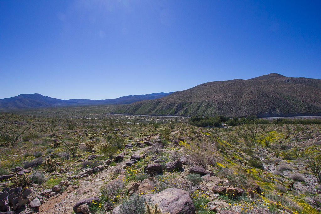 Anza-Borrego-5455