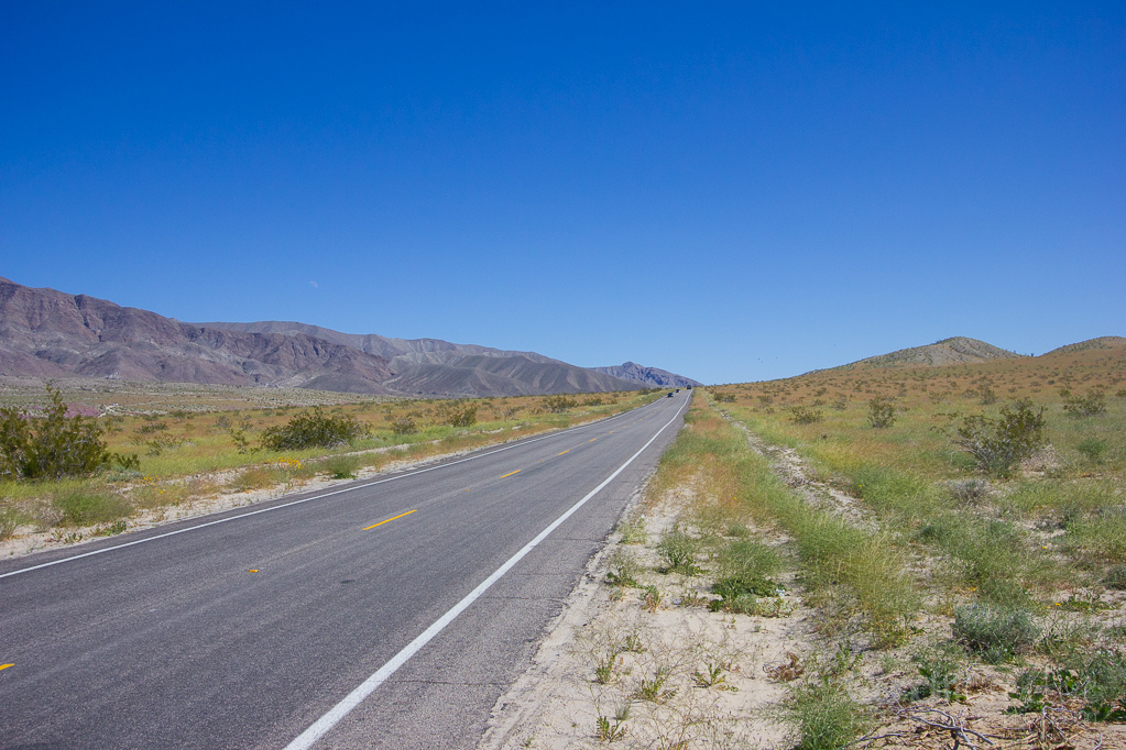 Anza-Borrego2-5519