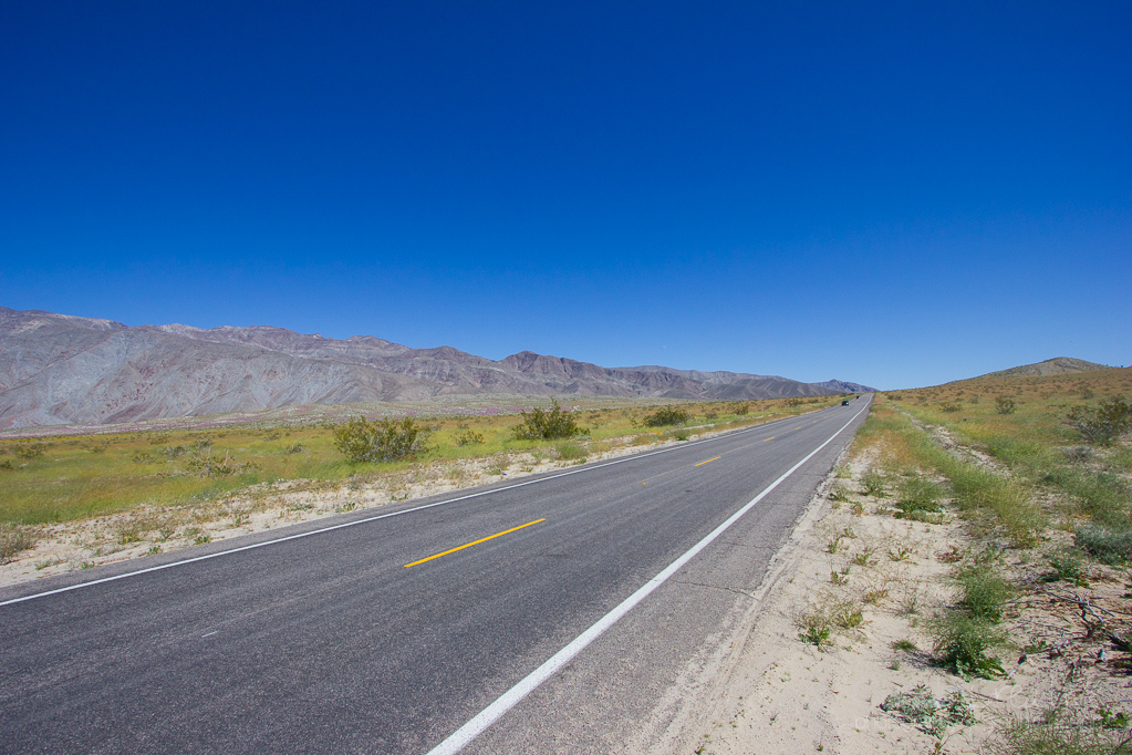 Anza-Borrego2-5522