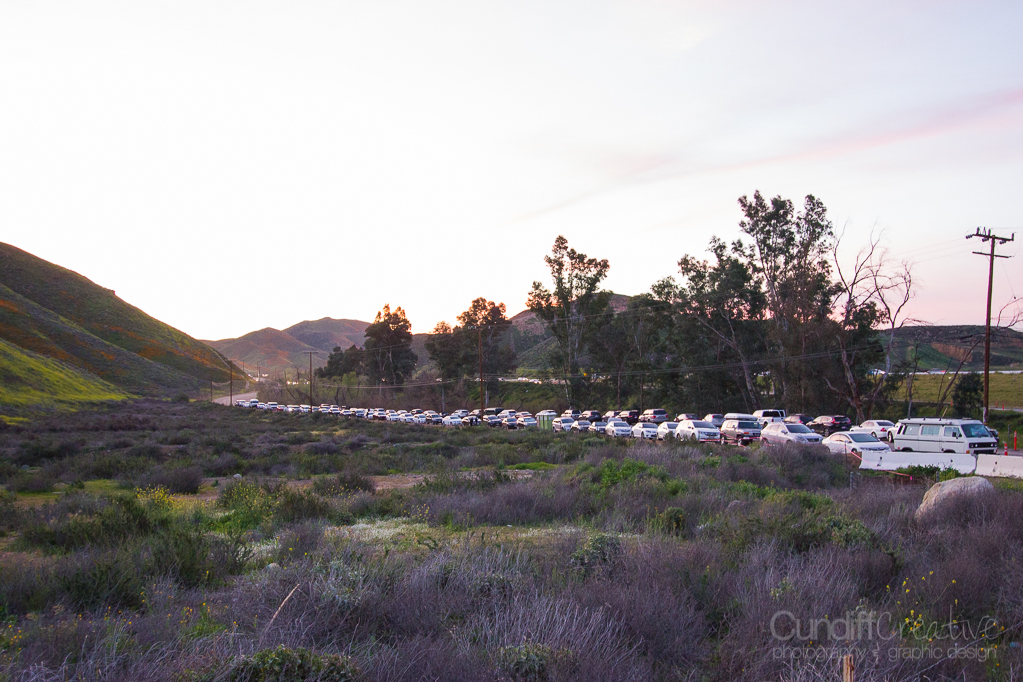 Walker Canyon, Heather Cundiff, Cundiff Creative