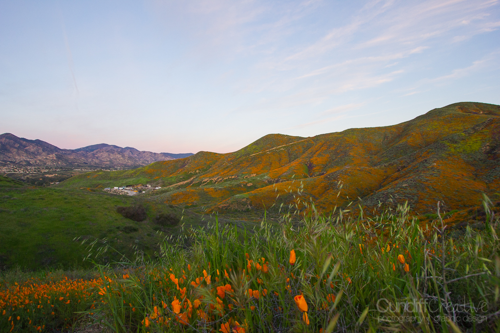 Walker Canyon, Heather Cundiff, Cundiff Creative