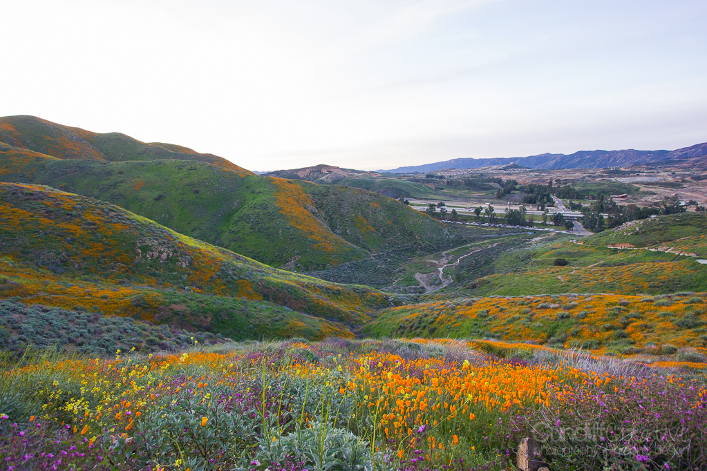 Walker Canyon, Heather Cundiff, Cundiff Creative