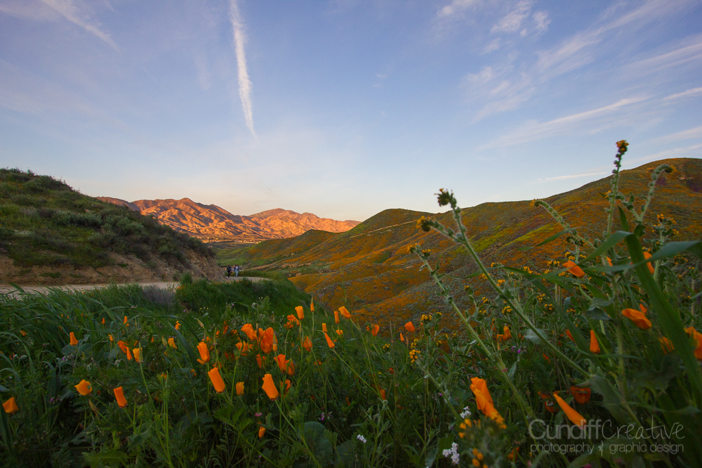 Walker Canyon, Heather Cundiff, Cundiff Creative