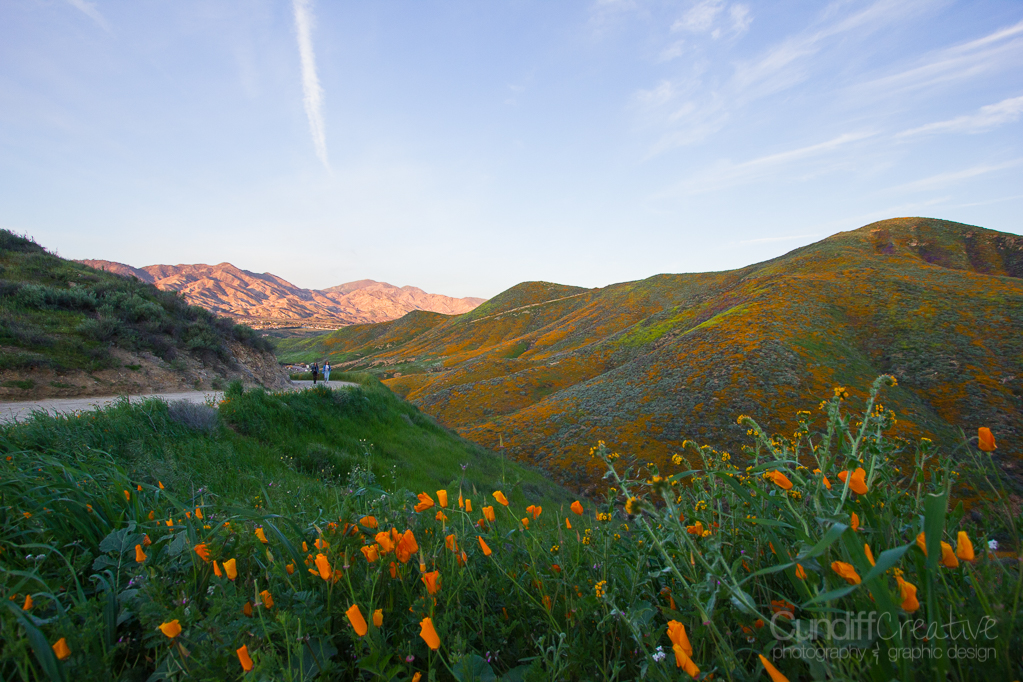 Walker Canyon, Heather Cundiff, Cundiff Creative