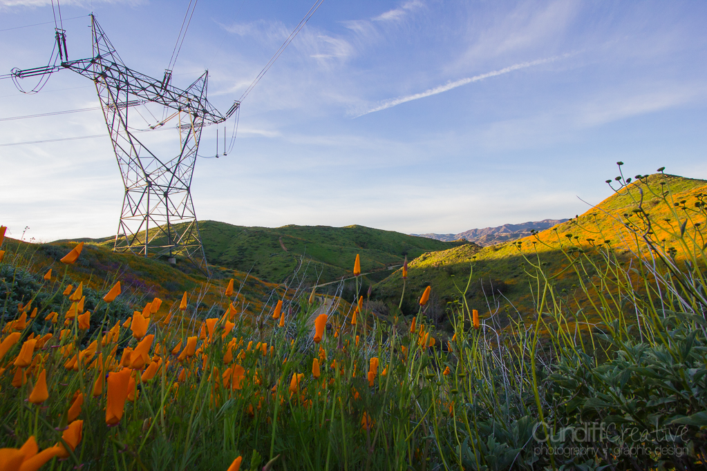 Walker Canyon, Heather Cundiff, Cundiff Creative