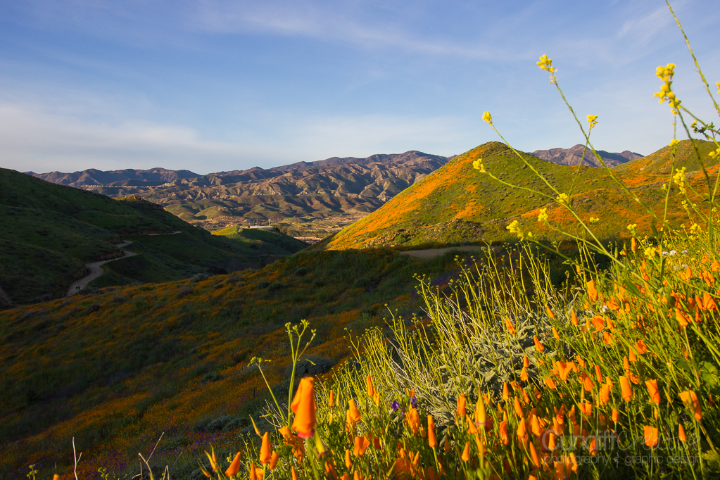 Walker Canyon, Heather Cundiff, Cundiff Creative