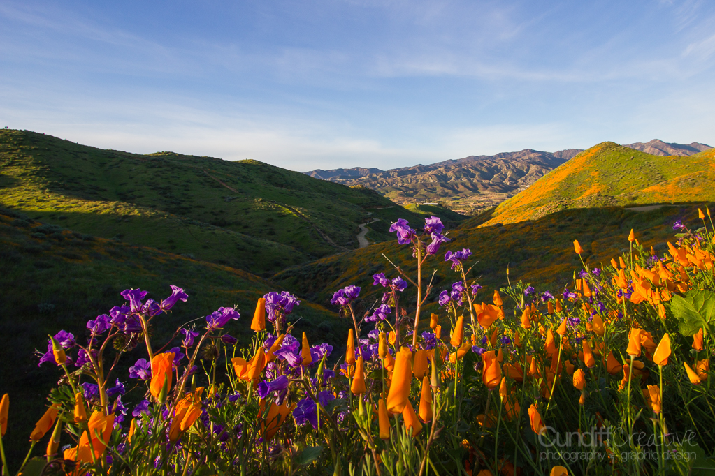 Walker Canyon, Heather Cundiff, Cundiff Creative