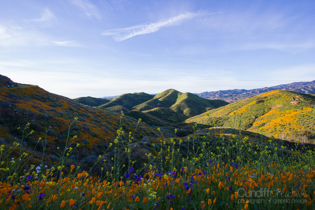 Walker Canyon, Heather Cundiff, Cundiff Creative