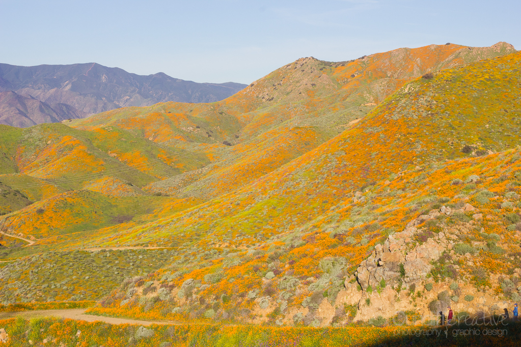 Walker Canyon, Heather Cundiff, Cundiff Creative