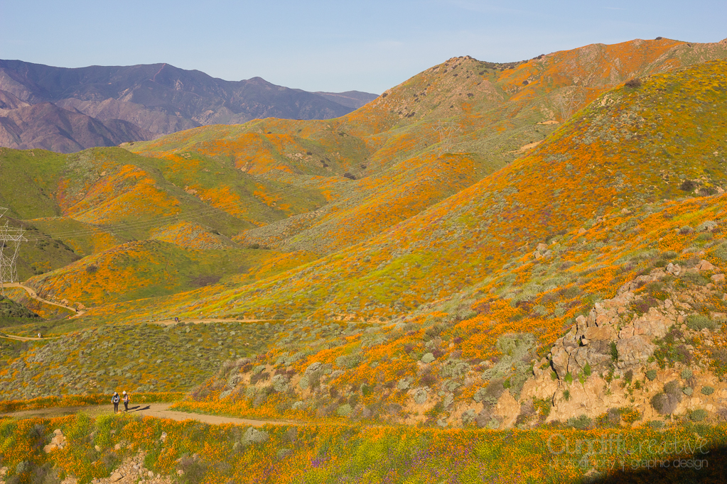 Walker Canyon, Heather Cundiff, Cundiff Creative